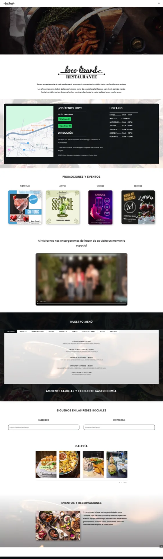 Screenshot of the LocoLizard project